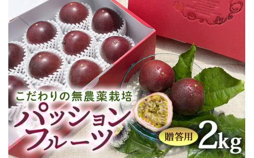 【 先行予約 2026年 発送 】こだわりの無農薬栽培パッションフルーツ2kg <贈答用> 果物 フルーツ くだもの 2キロ 沖縄 果実 南国フルーツ 沖縄県産 美味しい 甘い あまい 甘み 酸味 爽やか
