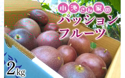 【 先行予約 2026年発送 】小池さん家の パッションフルーツ 約 2kg ( 20玉 以上 ) 果物 フルーツ くだもの 2キロ 沖縄 果実 南国フルーツ 沖縄県産 美味しい 甘い あまい 甘み 酸味 爽やか 産地