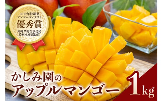 【 先行予約 2026年 発送 】 優秀賞受賞のかしみ園 アップルマンゴー 1kg 沖縄県産 マンゴー アーウィンマンゴー 1キロ 国産 完熟マンゴー 果物 南国 くだもの フルーツ 完熟 夏 旬 特産品 沖縄