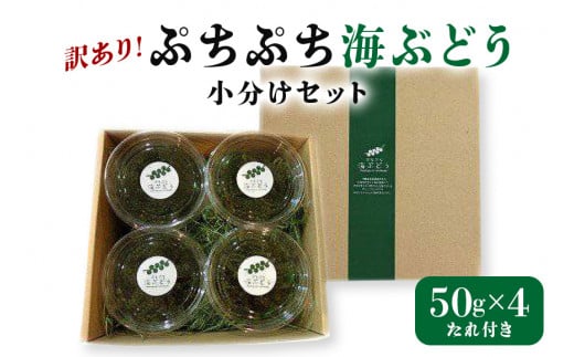 ぷちぷち 海ぶどう 小分け セット 訳あり 訳アリ  海ブドウ ウミブドウ 沖縄 大人気 特産物 お土産 健康 栄養 美容 美肌 ダイエット ミネラル マグネシウム カルシウム 鉄分 タレ付き おつま