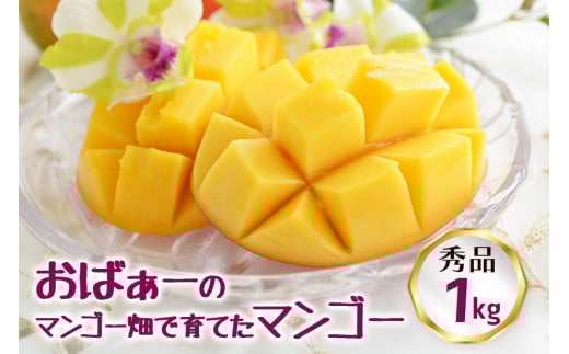 【 先行予約 2026年 発送 】 おばぁーのマンゴー畑で育てた マンゴー 1kg ( 秀品 ) 沖縄県産 アップルマンゴー アーウィンマンゴー 1キロ 国産 完熟マンゴー 果物 くだもの フルーツ 完熟 夏 旬