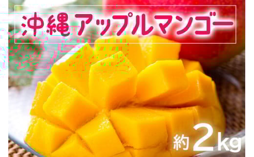 【 先行予約 2026年 発送 】 お手頃 「沖縄 アップルマンゴー 」 2kg 沖縄県産 マンゴー アーウィンマンゴー 2キロ 国産 完熟マンゴー 果物 南国 くだもの フルーツ 完熟 夏 旬 お取り寄せ 産地