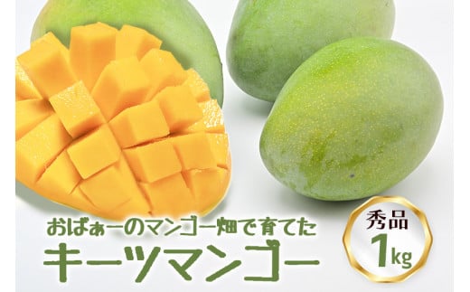 ys\ 2026N z΂[̃}S[ňĂ }S[ Gi ꌧY }S[ 1kg L[c}S[ Y ʕ 썑  t[c  { Yi   Yi yY