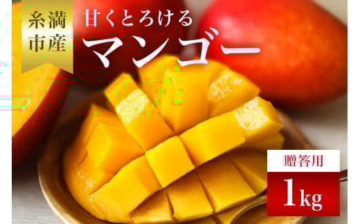 【 先行予約 2026年 発送 】 かねよしマンゴーの甘くとろける マンゴー 1kg ( 贈答用 ) 沖縄県産 アップルマンゴー アーウィンマンゴー 1キロ 国産 果物 くだもの フルーツ 完熟 沖縄 お取り寄