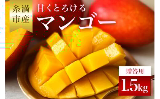 【 先行予約 2026年 発送 】 かねよしマンゴーの甘くとろける マンゴー 1.5kg ( 贈答用 ) 沖縄県産 アップルマンゴー アーウィンマンゴー 国産 果物 くだもの フルーツ 完熟 沖縄 お取り寄せ ギ