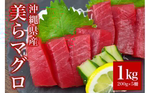 まぐろ 1kg ( 200g ×5柵) 美らマグロ 旬 鮪 マグロ 鮮度抜群 メバチマグロ キハダマグロ 魚種 おまかせ 旬のマグロ 柵 赤身 高たんぱく 低カロリー 真空 冷凍 刺身 家庭用 小分け お刺身 海鮮 魚