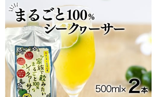 家族で飲みたいまるごと 100% シークヮーサー 500ml ×2本 (パウチタイプ) シークワーサー ジュース 果汁 ストレート 原液 常温保存 シークヮーサージュース シークワーサージュース 沖縄県産