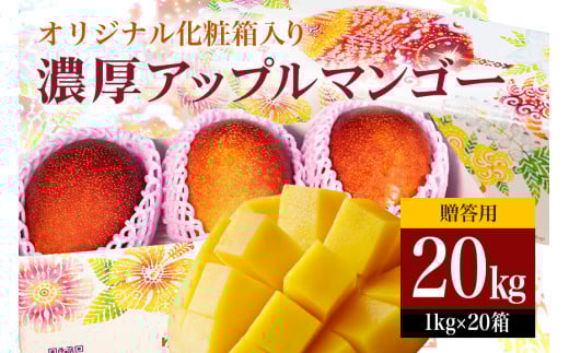 【 先行予約 2026年 発送】 沖縄県 糸満産 の「 濃厚 アップルマンゴー 」20kg ( 1kg × 20箱 ) マンゴー 大容量 贈答用 化粧箱入り 完熟マンゴー ギフト 贈答品 贈答 贈り物 お中元 夏ギフト 大量