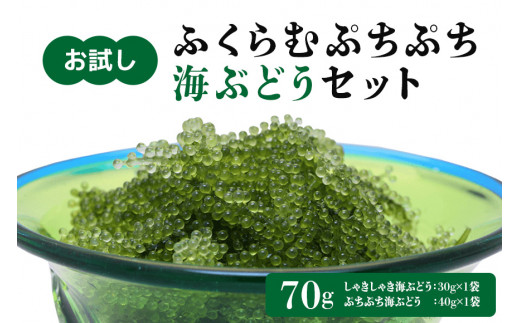 【お試し】ふくらむぷちぷち 海ぶどう セット 塩水タイプ 70g 沖縄 海ブドウ しゃきしゃき ぷちぷち 2種類 食べ比べ セット お試しセット 沖縄県グルメ 特産品 メール便 ネコポス 沖縄県 糸