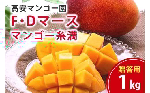 【 先行予約 2026年 発送 】 高安マンゴー園 贈答用 F・Dマースマンゴー糸満 1kg (2〜3玉) 沖縄県産 マンゴー アップルマンゴー アーウィンマンゴー 完熟マンゴー 果物 くだもの フルーツ 沖縄