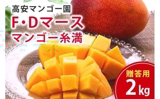 【 先行予約 2026年 発送 】 高安マンゴー園 贈答用 F・Dマースマンゴー糸満 2kg (3〜6玉) 沖縄県産 マンゴー アップルマンゴー アーウィンマンゴー 完熟マンゴー 果物 くだもの フルーツ 沖縄