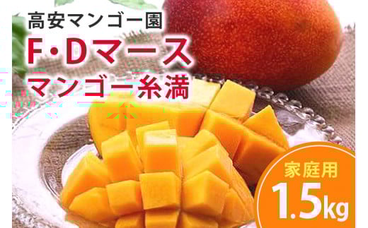 【 先行予約 2026年 発送】高安マンゴー園 家庭用 F・Dマースマンゴー糸満 1.5kg (3〜6玉) 沖縄県産 マンゴー アップルマンゴー アーウィンマンゴー 完熟マンゴー 果物 くだもの フルーツ 沖縄