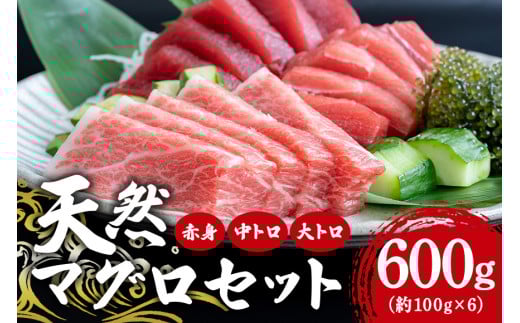 ꌧYu{̃}Ov͂IVR{}OZbg 600gꌧs33000ECYN