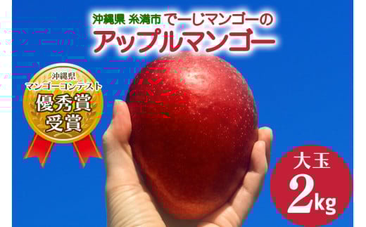 y2026Nzyߘa5NxDG܎܁zŁ[}S[Abv}S[2kg() 26-6ꌧs40000ʕEt[c}S[EpCibv