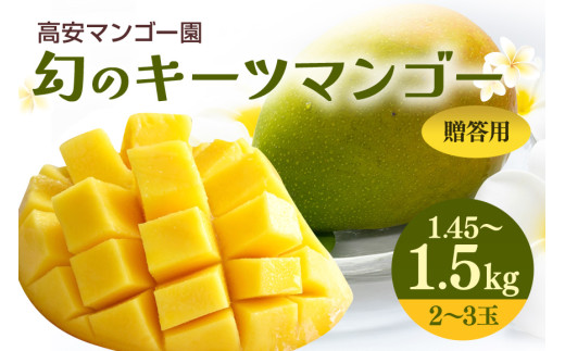 【 先行予約 2026年 発送 】高安マンゴー園 キーツマンゴー 1.45-1.5kg(贈答用) 沖縄県産  完熟マンゴー 果物 くだもの フルーツ 沖縄 お取り寄せ ギフト 産地直送 農家直送 糸満市沖縄県糸満市20