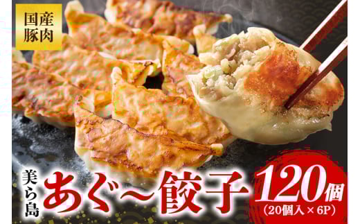 瓇[Lq 120Zbg 20×6pbN i    Y ͂  ٓ Ⓚ 傤 MEU  BBQ M[U y ӎ Mtg  Lq ؓ ⓀHi 