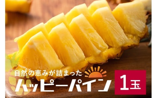 y2026Nznbs[pC1 ꌧ̓암ł͈炽Ȃƌꂽ̃pCibv pCibv pC t[c ʕ Â ꉫꌧs8000ʕEt[c̑ ʕEt[