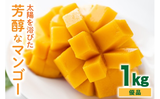 【 先行予約 2026年 発送】 沖縄の太陽を浴びた芳醇なマンゴー 1kg ( 優品 ) 沖縄県産 マンゴー アップルマンゴー アーウィンマンゴー 1キロ 国産 完熟マンゴー 果物 南国 くだもの フルーツ 完