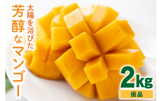 【 先行予約 2026年 発送】 沖縄の太陽を浴びた芳醇なマンゴー 2kg ( 優品 ) 沖縄県産 マンゴー アップルマンゴー アーウィンマンゴー 2キロ 国産 完熟マンゴー 果物 南国 くだもの フルーツ 完