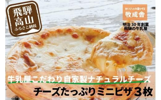 【寄附額見直しました!】<牧成舎> 自家製チーズたっぷり ミニピザ 3枚セット | ピザ 牧場 チーズ おいしい 手軽 簡単調理 ご褒美 牧場 DF009岐阜県高山市11000鍋セット・総菜・加工食品