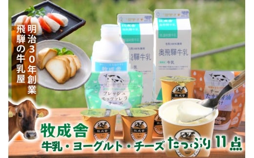 【飛騨乳製品バラエティセット】牛乳・ヨーグルト・チーズ詰め合わせ 11点|ヨーグルト 乳製品 デザート 朝食 セット 詰合せ 牧成舎 DF010岐阜県高山市10000卵・乳製品ヨーグルト