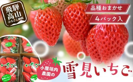 【2026年先行予約】雪見いちご 約200g×4パック | 糖度が高くてほどよい酸味 数量限定 イチゴ フルーツ 果物 いちご 品種おまかせ(紅ほっぺ/紅かおり/山天王)飛騨高山 小屋垣内農園 JA002