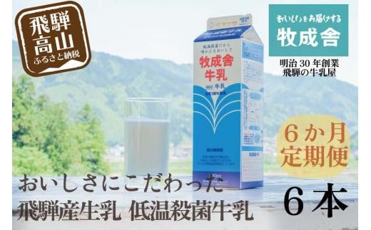 【定期便6か月】飛騨産生乳100%!美味しい低温殺菌牛乳6本 毎月1回お届け 乳製品 牛乳 牧成舎 DF106岐阜県高山市40000卵・乳製品牛乳・乳飲料