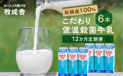 定期便 牛乳 (6本 × 12か月 ) 飛騨産生乳100%  牧成舎 美味しい低温殺菌牛乳6本 全 12回  乳製品 飛騨   DF107岐阜県高山市80000卵・乳製品牛乳・乳飲料