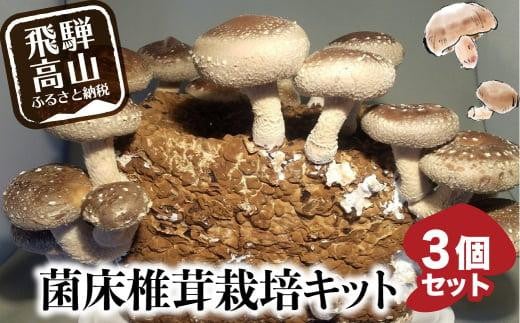 菌床椎茸栽培キット 3個セット | しいたけ シイタケ 椎茸 栽培キット 栽培 菌床 しいたけ菌 椎茸菌 夏休み 自由研究 飛騨高山きのこの里 GK001岐阜県高山市12000野菜・きのこきのこ