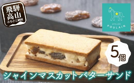 【数量限定】 シャインマスカット レーズンバターサンド 5個 洋菓子 お菓子 贈答 内祝い 熨斗 のし対応可 本郷 KB007岐阜県高山市17000菓子・スイーツその他 洋菓子
