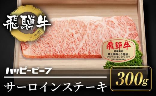 飛騨牛 A5等級 サーロイン 300g分 ステーキ 飛騨牛 ブランド牛 A5ランク ハッピープラス 飛騨高山 JQ023岐阜県高山市45000肉牛肉