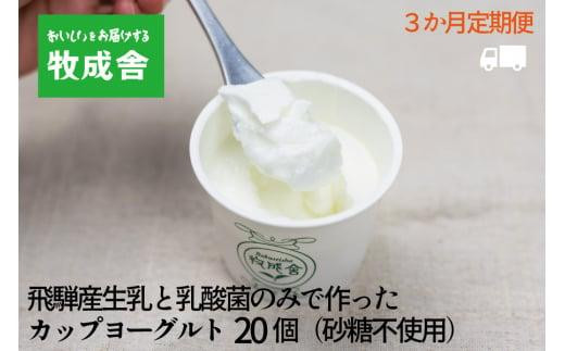 <牧成舎定期便 3カ月>飛騨の牛乳屋 牧成舎 生乳100%砂糖不使用プレーンヨーグルト20個 朝食におすすめ 無糖ヨーグルト プレーンヨーグルト 砂糖不使用 生乳ヨーグルト 乳製品 DF119岐阜県