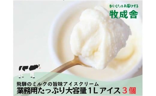 飛騨の牛乳屋 牧成舎 ミルクの旨味たっぷり 業務用 1L アイスクリーム 3種 合計3L アイス 冷菓 お菓子 おかし おやつ 乳製品 ギフト プレゼント バレンタイン ホワイトデー 母の日 牧成舎 D