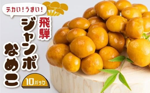 飛騨ジャンボなめこ約180g×10パック入り 国産なめこ きのこ 生なめこ 大きい ジャンボサイズ なめ茸 希少 珍しい  鍋 日付指定可 なめこファーム  KN002岐阜県高山市9000野菜・きのこきのこ