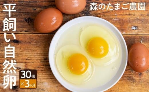 3ヶ月 定期便 平飼い 卵 30個セット (3回) 自然卵  卵 飛騨高山 森のたまご農園 LW102岐阜県高山市27000卵・乳製品卵(鶏、烏骨鶏等)