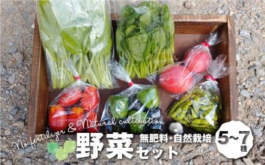 【数量限定】無肥料 自然栽培 野菜セット 5〜7種 | やさい 野菜詰合せ 秋野菜 産地直送 詰合せ セット 新鮮野菜 飛騨高山 amrita農園 KM001岐阜県高山市7000野菜・きのこその他 野菜