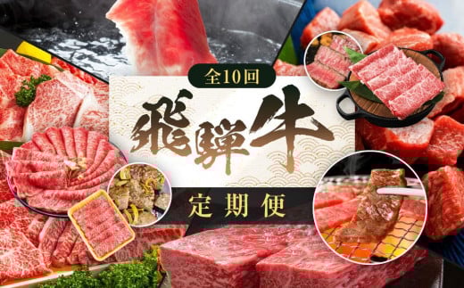 飛騨牛 定期便 全10回 牛肉 ( ステーキ / 焼肉 / しゃぶしゃぶ / すき焼き ) | 肉 食べ比べ A5 霜降り ロース もも サーロイン 岐阜 高山市 飛騨高山 岐阜県 人気 お楽しみ おすすめ ZZ017岐阜県高