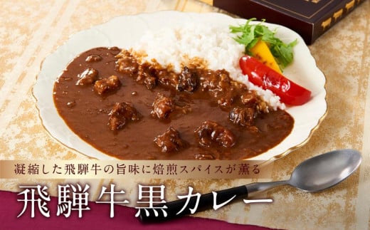 喜八郎謹製 リッチなコクの飛騨牛黒カレー(230g×1箱)| 焙煎スパイス薫る レトルト カレー 黒カレー 飛騨牛 スパイス 食品 山一商事 EN001岐阜県高山市6000鍋セット・総菜・加工食品総菜