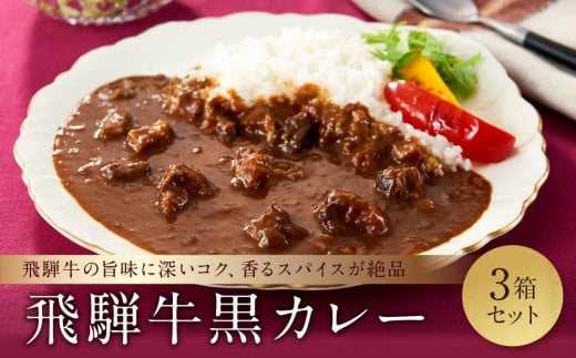 喜八郎謹製 リッチなコクの飛騨牛黒カレー(230g×3箱)| 焙煎スパイス薫る レトルト カレー 黒カレー 飛騨牛 スパイス 食品 山一商事 EN002岐阜県高山市12000鍋セット・総菜・加工食品総菜
