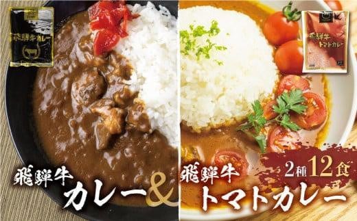 【11月発送】飛騨牛カレー (8袋) 飛騨牛トマトカレー (4袋)  簡易包装 飛騨牛 トマトカレー  レトルトカレー お手軽 ふるさと清見 DC004VC11岐阜県高山市10000鍋セット・総菜・加工食品総菜