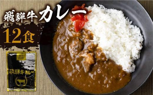 【12月発送】飛騨牛カレー (12袋) カレー ビーフカレー 簡易包装  レトルトカレー ふるさと清見 DC006VC12岐阜県高山市10000鍋セット・総菜・加工食品総菜