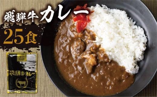 【3月発送】飛騨牛カレー (25袋) ビーフカレー 飛騨牛カレー 簡易包装 レトルトカレー ふるさと清見 DC008VC03岐阜県高山市20000鍋セット・総菜・加工食品総菜