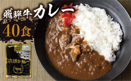 【3月発送】飛騨牛カレー (40袋) ビーフカレー 飛騨牛 カレー 簡易包装  レトルトカレー お手軽  ふるさと清見 DC009VC03岐阜県高山市30000鍋セット・総菜・加工食品総菜