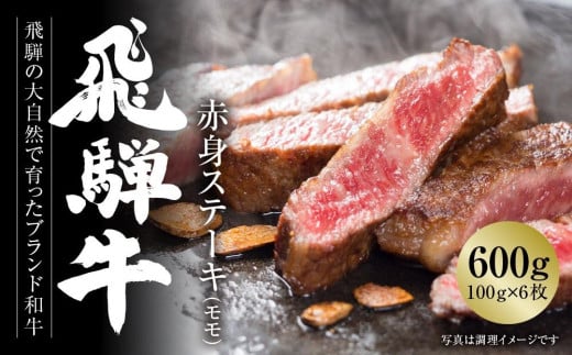 飛騨牛 赤身ステーキ 600g(100g×6枚) 冷凍真空パック | 肉 お肉 ステーキ 黒毛和牛 和牛 人気 おすすめ 牛肉 ギフト お取り寄せ【飛騨高山ミート MZ018】岐阜県高山市25000肉牛肉