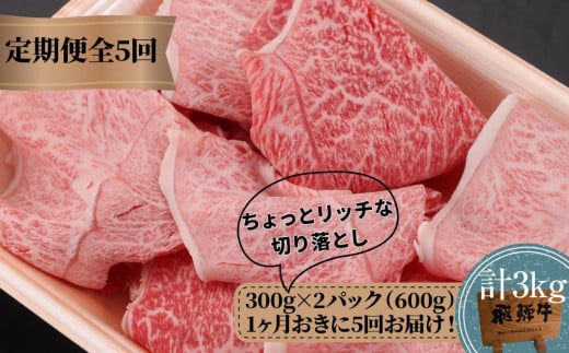 【定期便 隔月発送】全5回 飛騨牛ちょっとリッチな切り落とし(みすじ・ウデすき焼きしゃぶしゃぶ用)300g×2パックセット | 2か月に1回発送 飛騨牛 飛騨高山 切り落とし 肉 牛肉 みすじ ウ