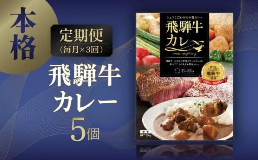 【定期便3ヶ月】本格飛騨牛レトルトカレー 230g×5個 | 飛騨牛 レトルトカレー 贅沢 カレー 本格 中辛 ビーフカレー 便利 簡単調理 高山市 株式会社フローラ EY100岐阜県高山市69000鍋セット・総