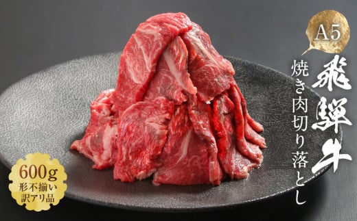 【形不揃い訳あり】A5等級飛騨牛 焼肉 切り落とし600g(冷蔵配送)| 牛肉 肉 和牛 キャンプ 肉料理 ブランド牛 不揃い 人気 国産 お取り寄せ グルメ おすすめ 株式会社岩ト屋 HF040岐阜県高山