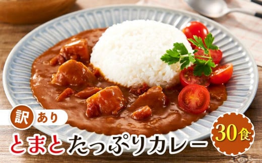 訳あり とまとたっぷりカレー(160g×30袋)| 野菜の旨味 簡易包装 トマト カレー 人気 野菜たっぷり 子供 おいしい ふるさと清見21 DC023岐阜県高山市20000鍋セット・総菜・加工食品総菜