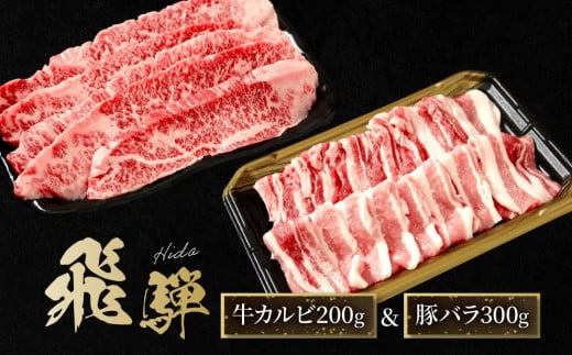 飛騨牛 カルビ200g & 飛騨豚 バラ300g | 食べ比べ セット 焼肉 国産牛 豚肉 飛騨高山 人気 おいしい ファミリーストアさとう CY043岐阜県高山市10000肉牛肉