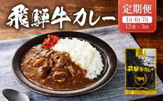 【期間限定】【1月開始】飛騨牛カレー 36袋(12袋x3回)  定期便 3回【1月・4月・7月】 | 訳あり 飛騨牛 肉 牛 カレー ビーフカレー 簡易包装 レトルトカレー ご当地カレー 人気 おすすめ ふるさ